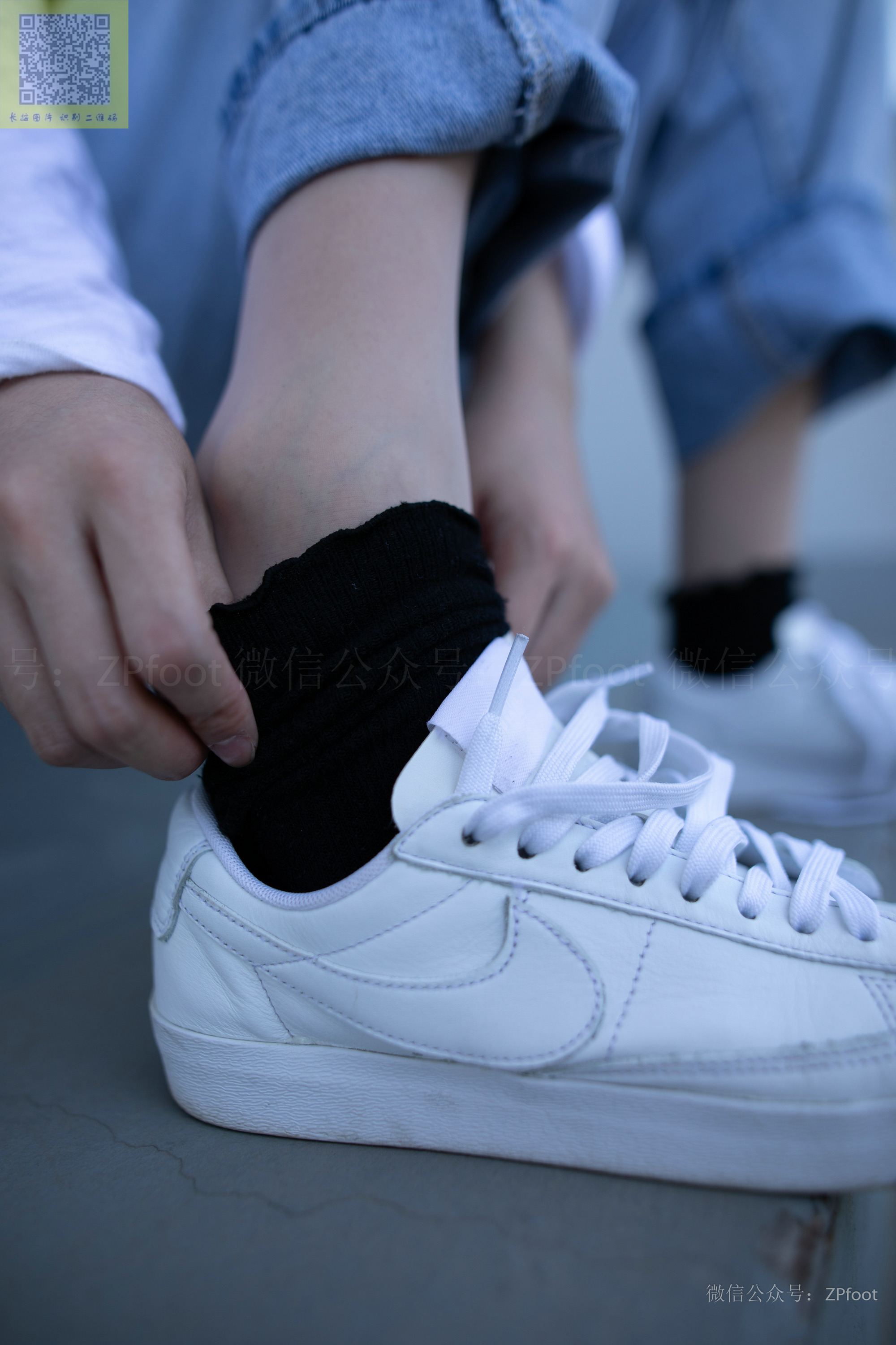 ISS山茶摄影 024 鑫鑫库里丝